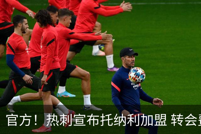 官方！热刺宣布托纳利加盟 转会费1亿镑再破队史纪录