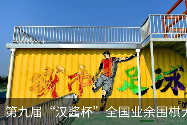第九届“汉酱杯”全国业余围棋大赛西部赛区闭幕